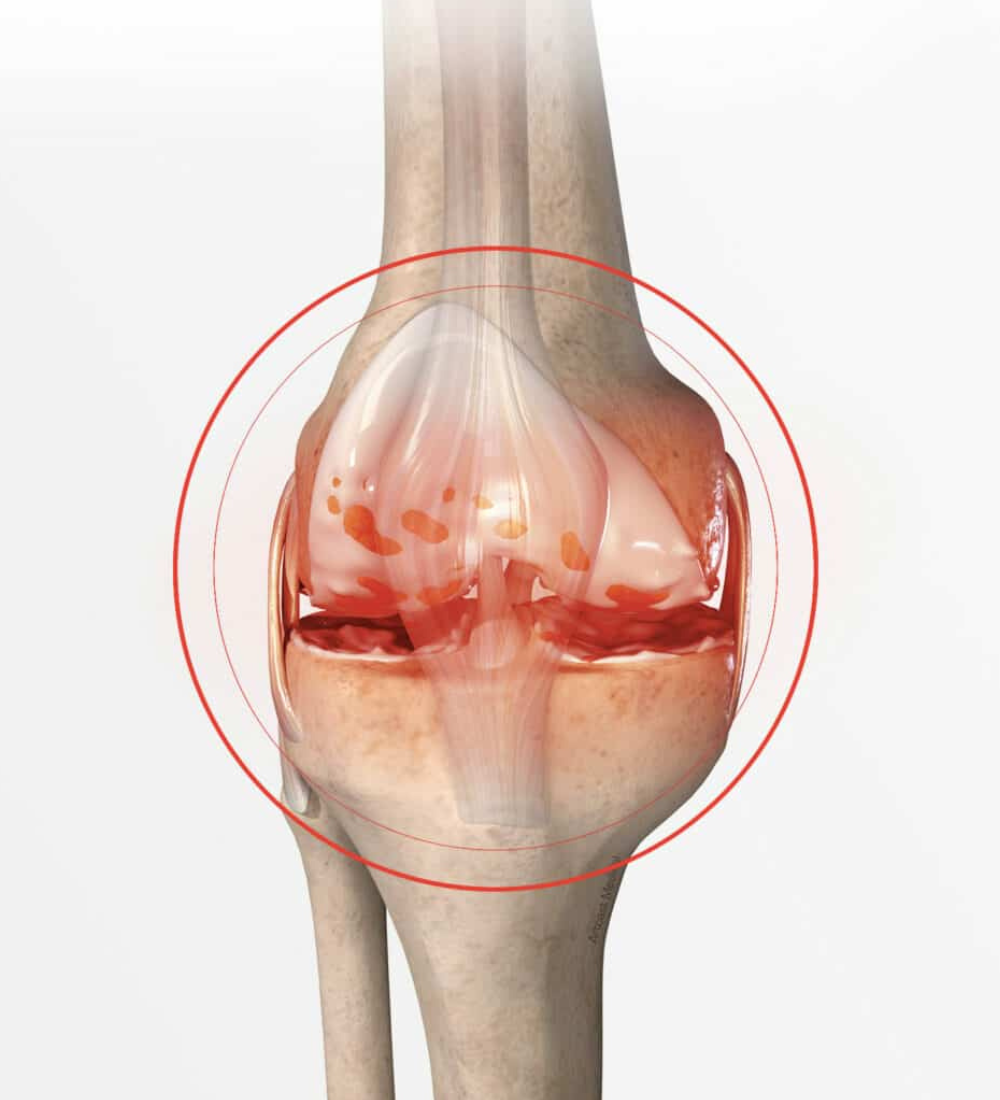 Design sans titre (1)